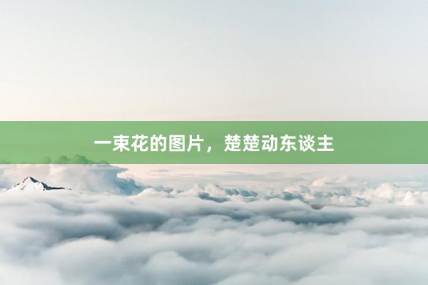 一束花的图片，楚楚动东谈主
