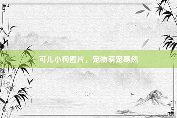 可儿小狗图片，宠物萌宠蓦然