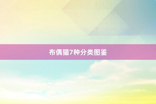 布偶猫7种分类图鉴